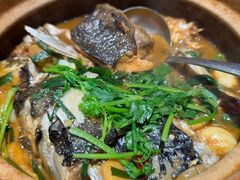 -九道菜有鸡鱼头(石鼓路店)