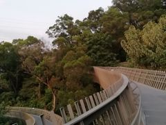 -福道