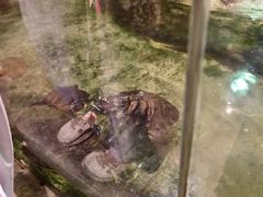 -正佳雨林生态植物园