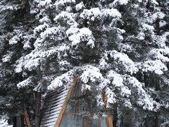 -雪山梁子