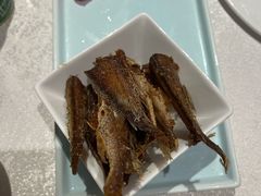 -金美华轩(东方路齐鲁店)