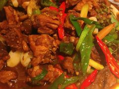 -杨氏青龙虾·羊蝎子(托乐嘉店)