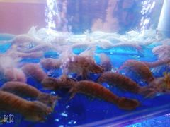 -特色酱椒鱼私房菜(黄鹤楼店)