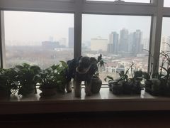 -仰生如卉推拿养生馆(酒仙桥店)