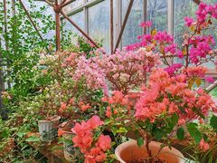 -昆明市金殿名胜区