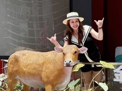 -潮正和潮汕牛肉火锅·老字号(番禺万达店)