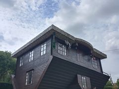 -金山农民画村-枫泾波兰倒置屋