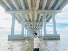 -宝安西湾红树林湿地公园