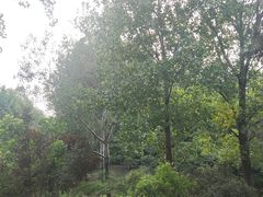 -东升八家郊野公园