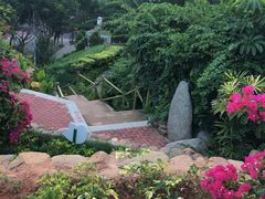 -仙岳公园