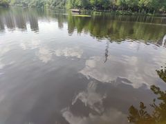 -重庆彩云湖湿地公园