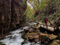 -五女峰国家森林公园