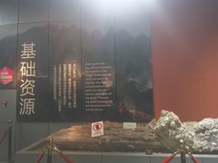 -烟台自然博物馆