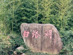 -白塔湖国家湿地公园