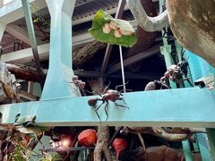 -正佳雨林生态植物园