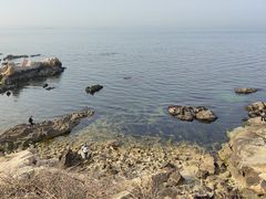 -养马岛旅游度假区