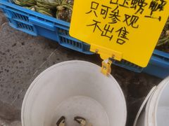 -高淳老街
