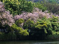 -潮州西湖