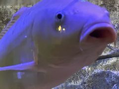 -沈阳海洋探索中心