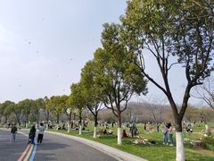 -羊山湖公园