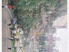 -富贵黄金屋