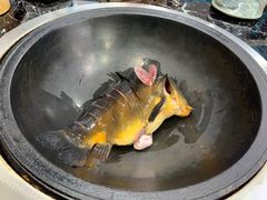-边江铁锅炖鱼(振八街店)