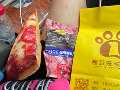 -趣玩宠物乐园寄养训犬训狗游泳池