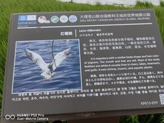 -洱海月湿地公园