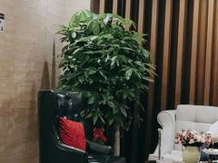 -鹤祥宫·影院足道·SPA连锁(鸿尊布吉店)