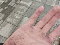 -漕溪路(地铁站)