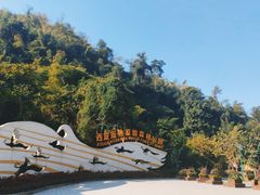-西双版纳原始森林公园