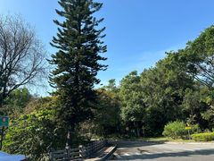 -三水森林公园