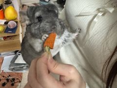 -龙猫仔乐园(惠福东路店)