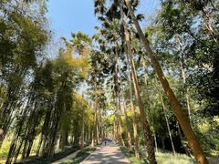 -中国科学院西双版纳热带植物园