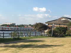 -鹅湖玫瑰文化园