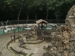 -成都动物园