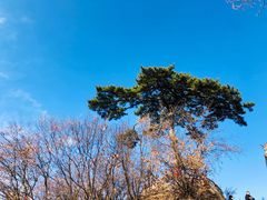 -秦岭终南山世界地质公园翠华山景区