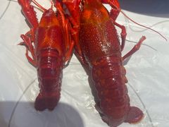 -巴厘龙虾·榜首油焖大虾(沙湖·花园店)