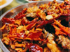 -柴窝堡辣子鸡(文艺路店)
