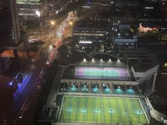 -深圳湾科技园丽雅查尔顿酒店