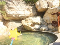 -仁爱团泊湖温泉中心