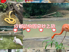 -成都动物园