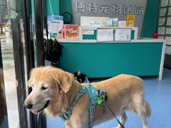 -博特宠物医院24h犬猫全科.骨科·异宠
