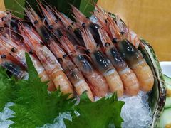 -银子铁板烧料理自助餐(人民广场店)