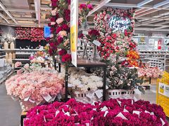 -宜家家居(哈尔滨商场店)