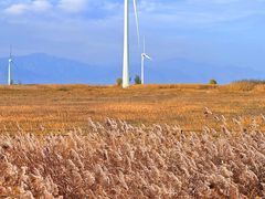 -野鸭湖国家湿地公园