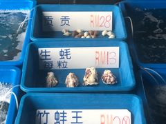 -旗鱼海番村(Orang Asli)