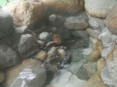 -咸宁温泉谷大酒店