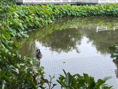 -成都市文化公园