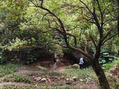 -火炉山森林公园